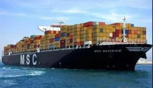 China International Sea Freight Shipping by Sea From Qingdao to Belgrade on sale 